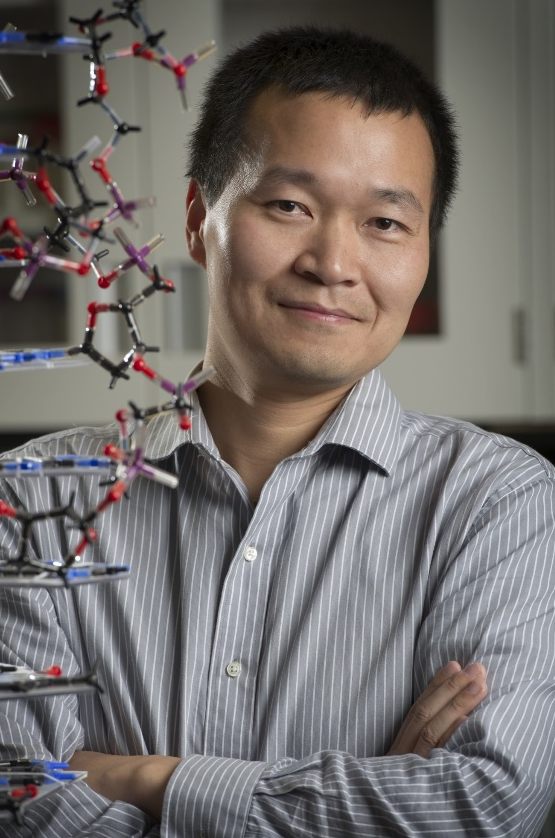 大阳城游戏【中国】官方网站创新论坛第一千九百七十八讲：核酸适配体筛选：从小分子到微塑料