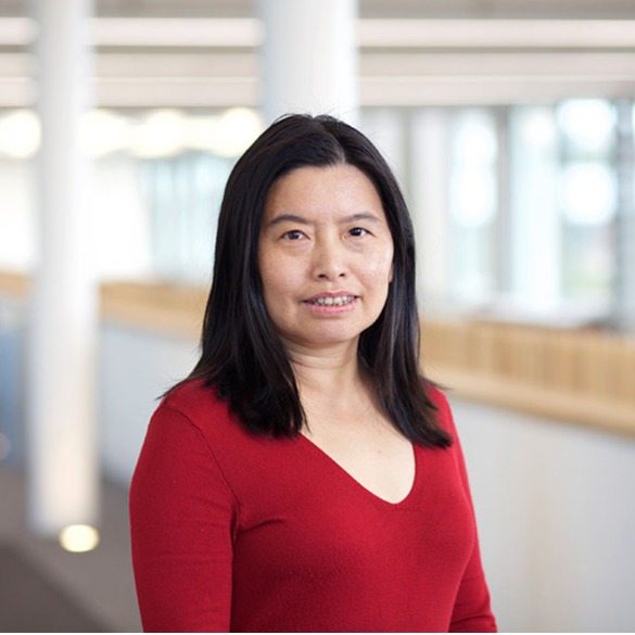 大阳城游戏【中国】官方网站创新论坛第一千九百七十七讲：Silk roads and global connections through the study of heritage materials