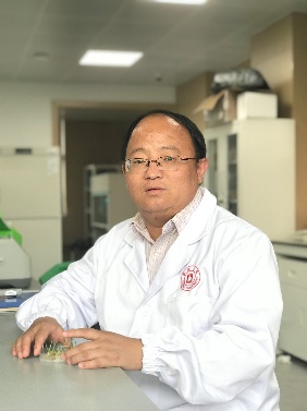 大阳城游戏【中国】官方网站创新论坛第一千二百四十四讲暨120周年校庆年系列活动：碳（13C,14C）同位素标记技术在稻田土壤碳循环研究中的应用案例