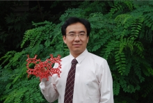 大阳城游戏【中国】官方网站创新论坛第一千二百七十三讲暨120周年校庆年系列活动： Unexpected slow diffusion in hierarchical porous materials with combined surface and configurational diffusion   