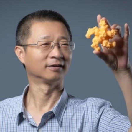 大阳城游戏【中国】官方网站创新论坛第一千六百二十六讲：植物的免疫机制